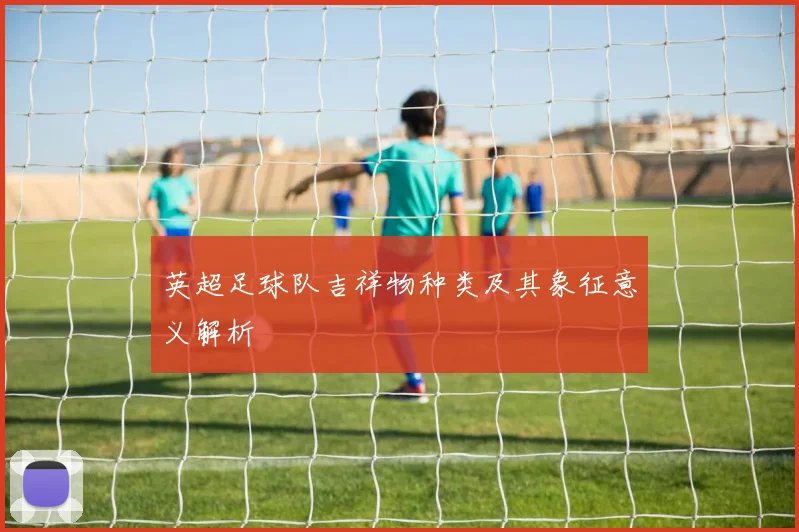 英超足球队吉祥物种类及其象征意义解析