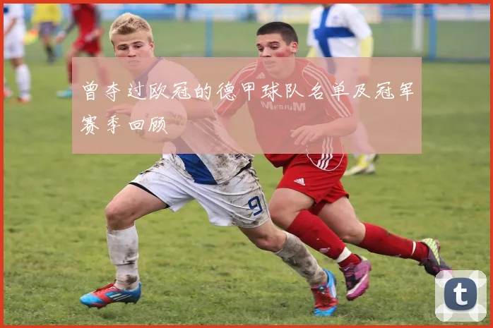 曾夺过欧冠的德甲球队名单及冠军赛季回顾