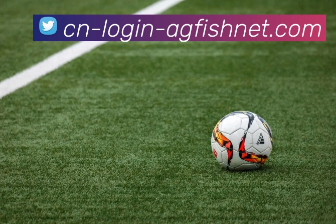 AG捕鱼王官网平台生态图